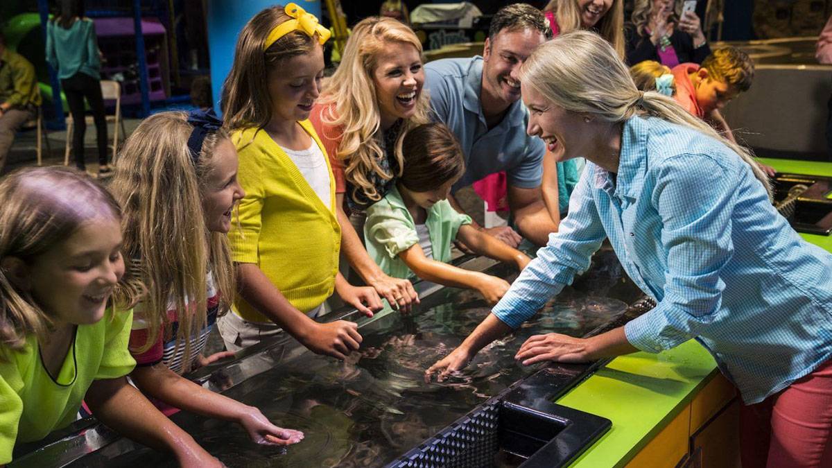 ripleys aquarium museum family at jelly fish aquarium